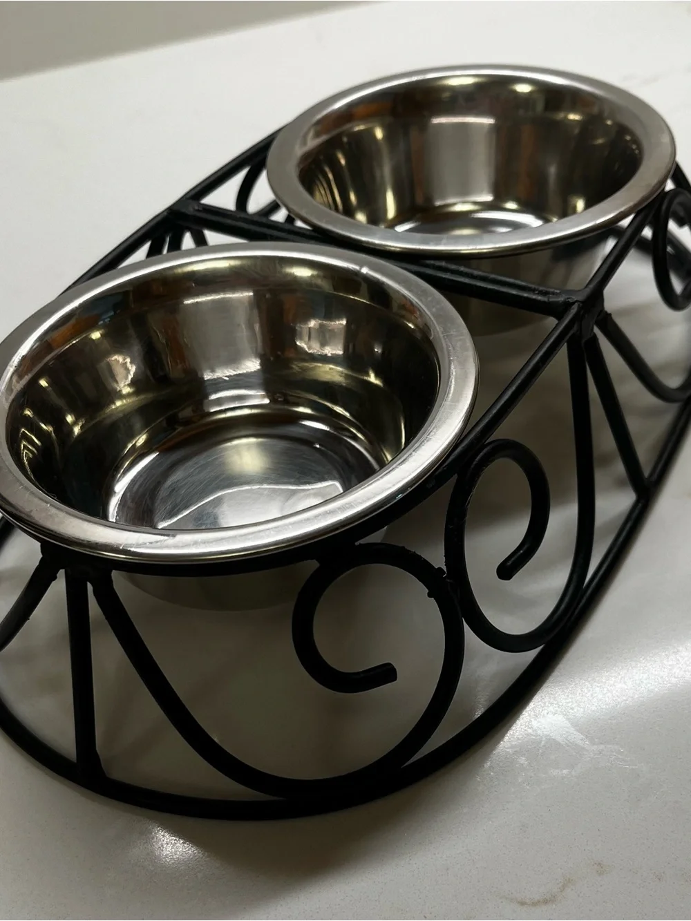 Double Stainless Steel Pet Bowls with Decorative Black Metal Stand